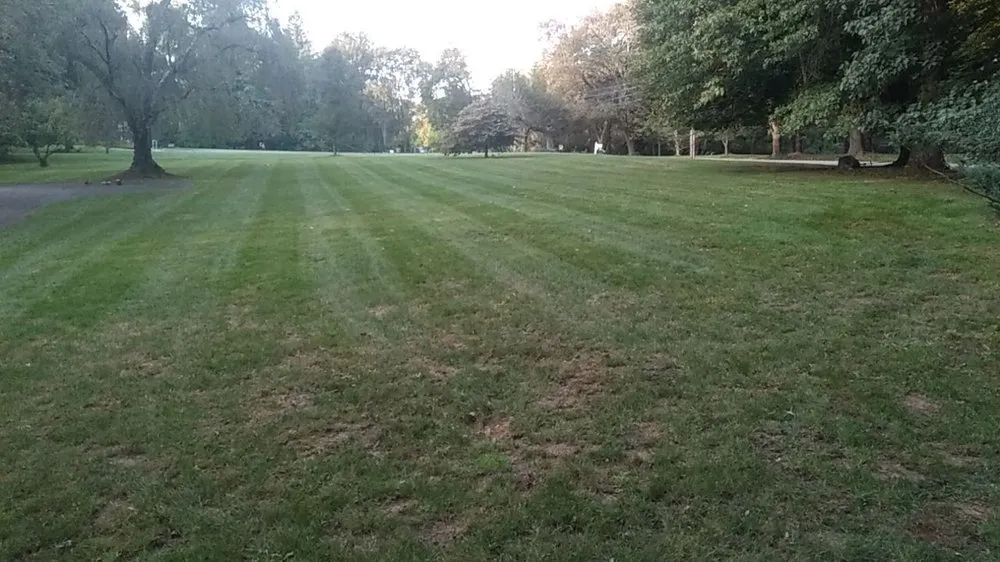 Reliable outdoor landscaping in Gibsonia, PA by Artistic Tree & Landscape Creations