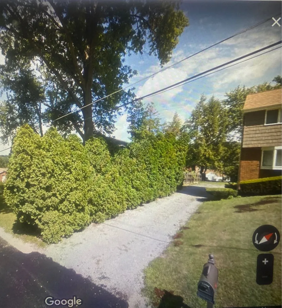 Trusted yard cleanup service experts serving Gibsonia, PA - Artistic Tree & Landscape Creations