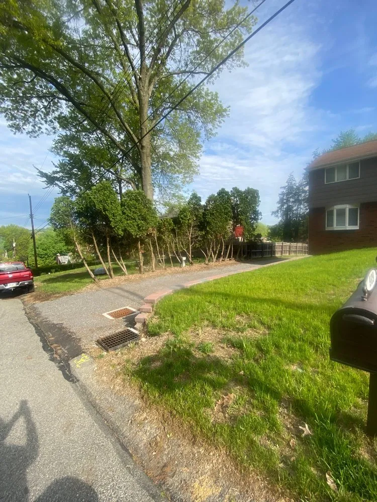 Reliable landscaping services in Gibsonia, PA - Artistic Tree & Landscape Creations