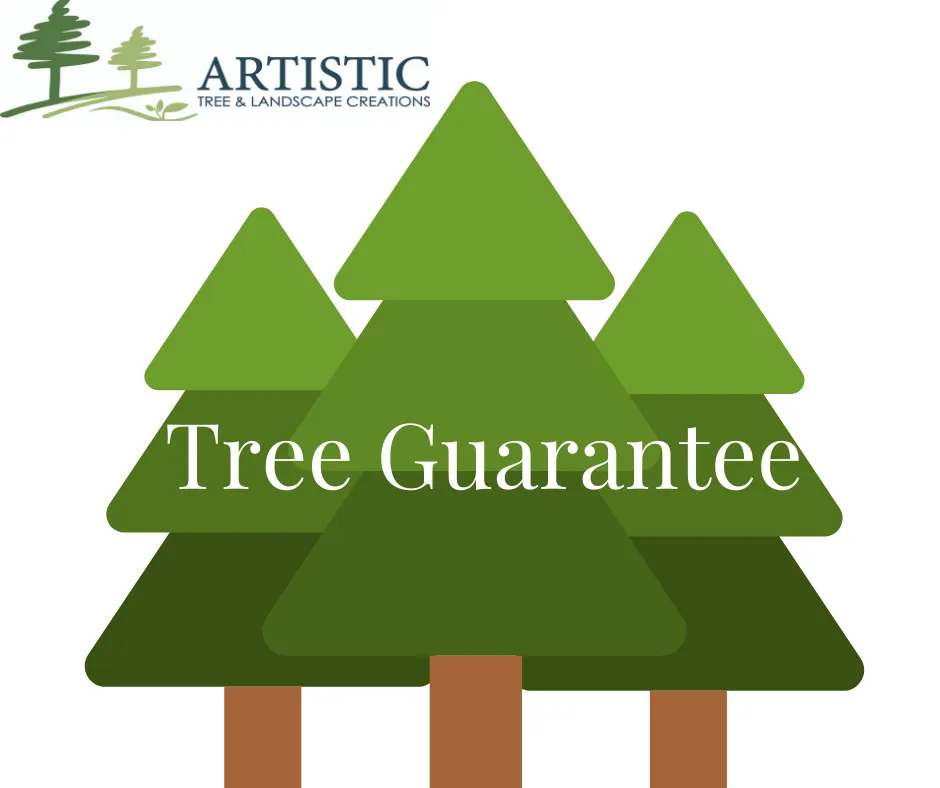 Trusted landscape installation with custom design in Gibsonia, PA by Artistic Tree & Landscape Creations