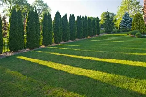 Local garden landscaping with custom design across Saint louis, MO - Artistic Tree & Landscaping