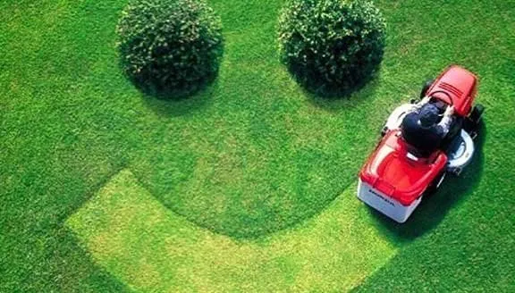 Custom lawn care service for beautiful yards in Saint louis, MO by Artistic Tree & Landscaping