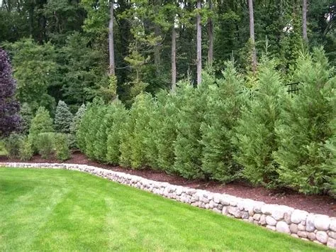 Affordable outdoor landscaping in Saint louis, MO by Artistic Tree & Landscaping