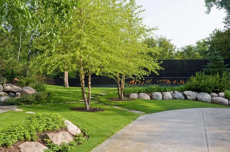 Reliable residential landscaping for year-round maintenance across Saint louis, MO - Artistic Tree & Landscaping