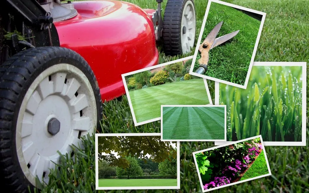 Professional lawn mowing service in Saint louis, MO - Artistic Tree & Landscaping