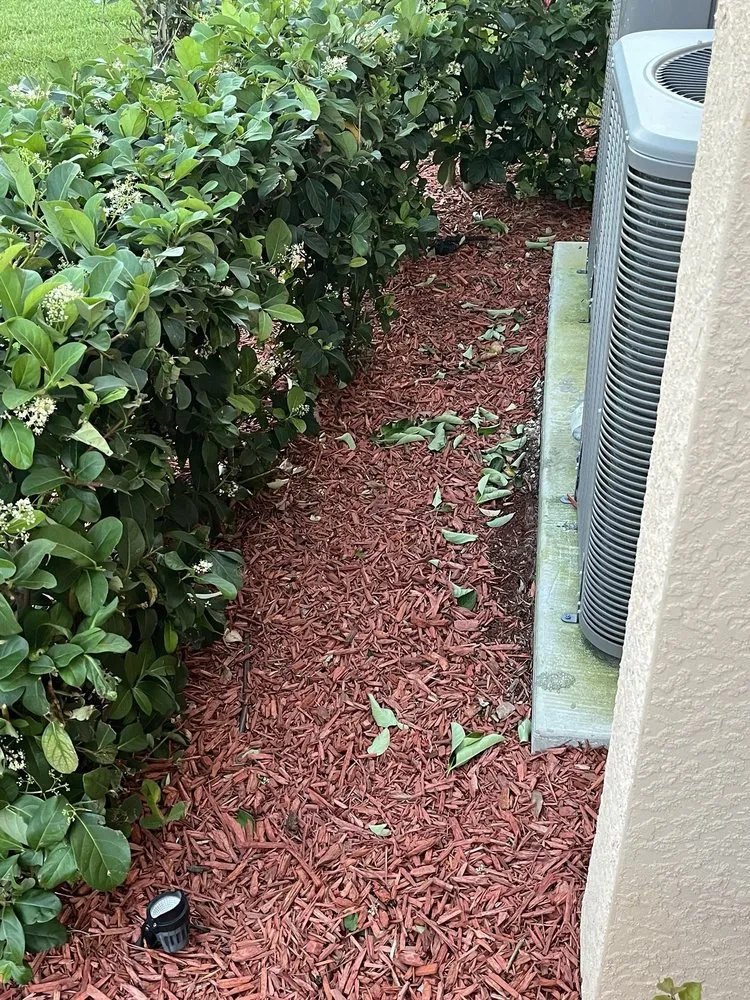 Local outdoor landscaping in Venice, FL by Artistree Landscape Maintenance & Design