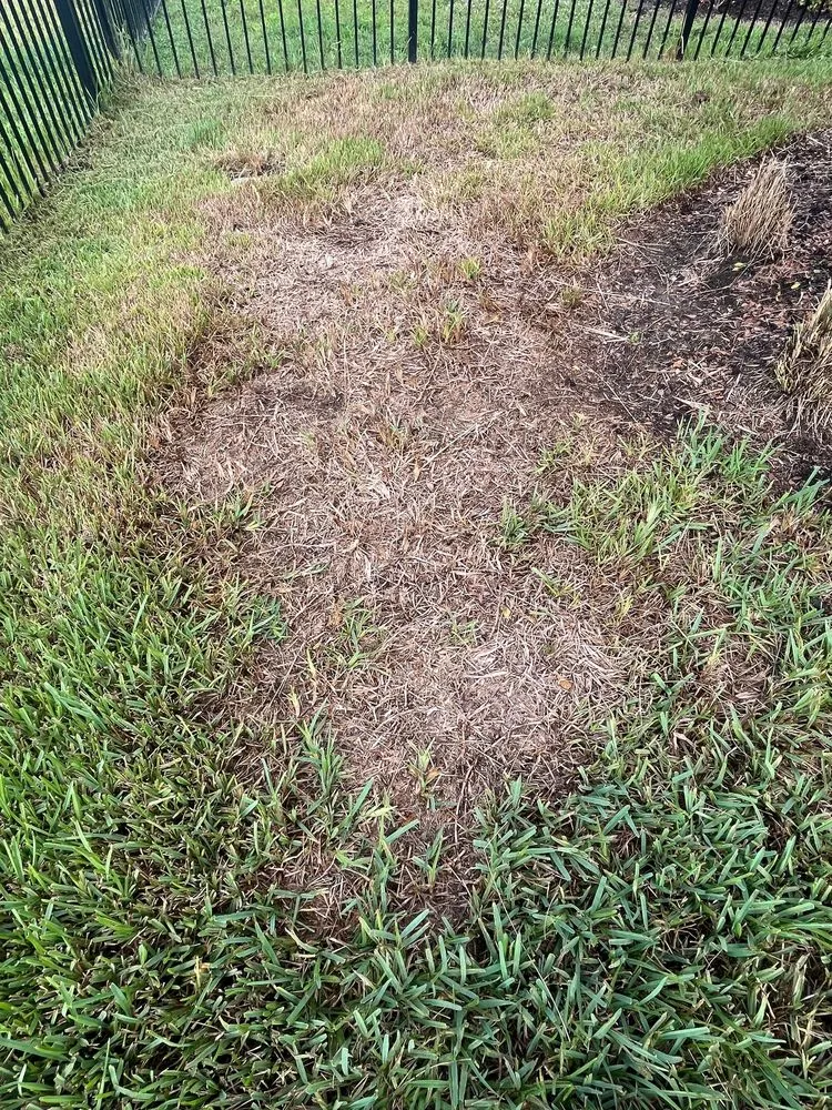 Trusted landscape installation with custom design in Venice, FL by Artistree Landscape Maintenance & Design