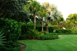 Custom outdoor landscaping for outdoor upgrades across Venice, FL - Artistree Landscape Maintenance & Design