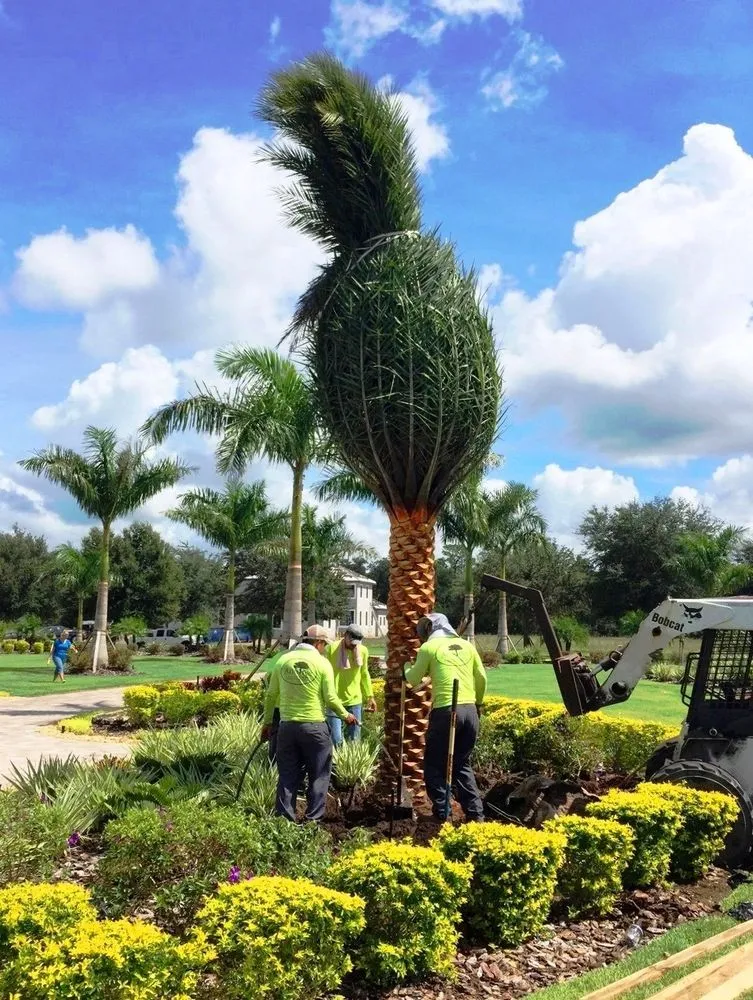 Trusted outdoor landscaping in Venice, FL - Artistree Landscape Maintenance & Design