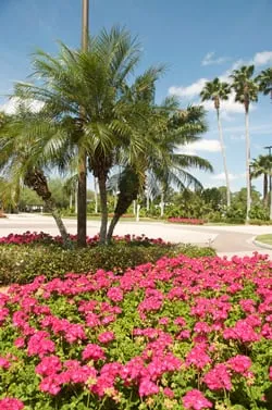 Expert lawn mowing service for beautiful yards across Venice, FL - Artistree Landscape Maintenance & Design