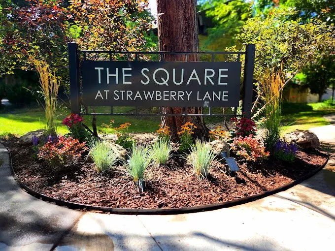 Trusted lawn mowing service with custom design across Meridian, ID - Artistree Landscaping &Tree Service