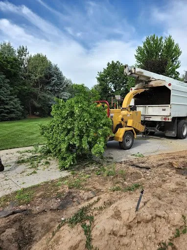 Affordable garden landscaping experts serving Meridian, ID - Artistree Landscaping &Tree Service