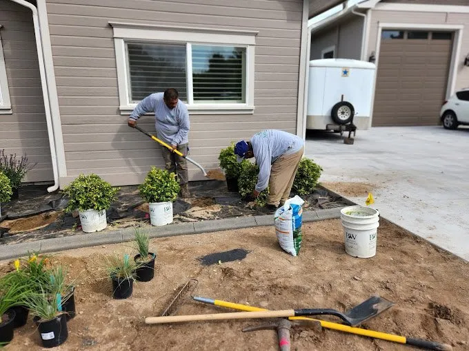 Professional lawn care service in Meridian, ID - Artistree Landscaping &Tree Service