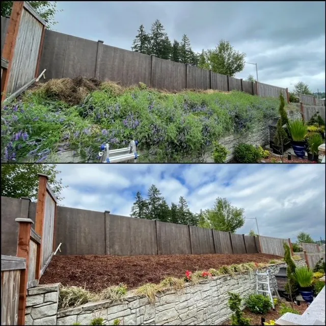 Professional yard cleanup service in Spanaway, WA - Artistry Lawn Care