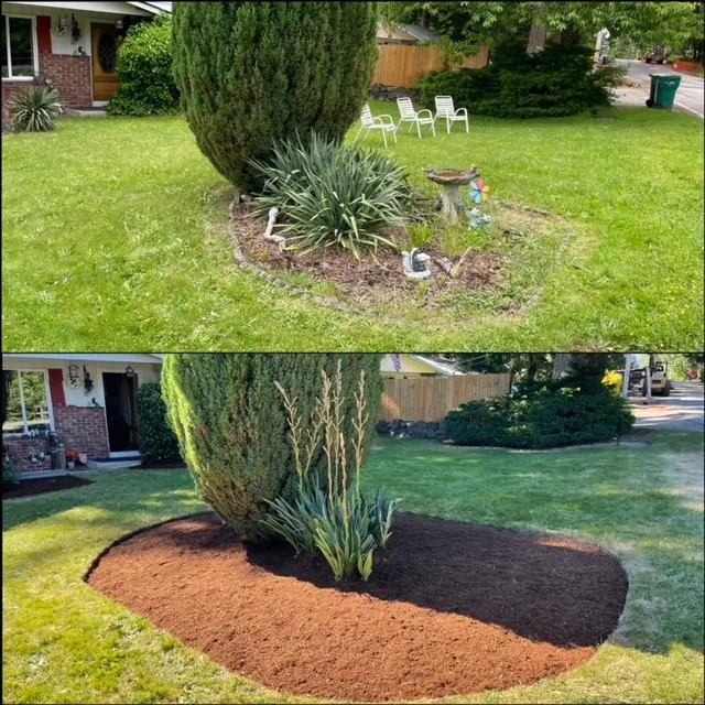 Reliable residential landscaping for residential properties in Spanaway, WA by Artistry Lawn Care