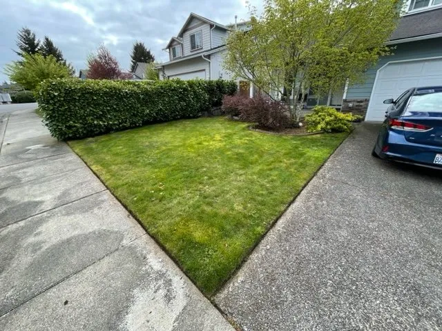 Professional yard maintenance in Spanaway, WA by Artistry Lawn Care