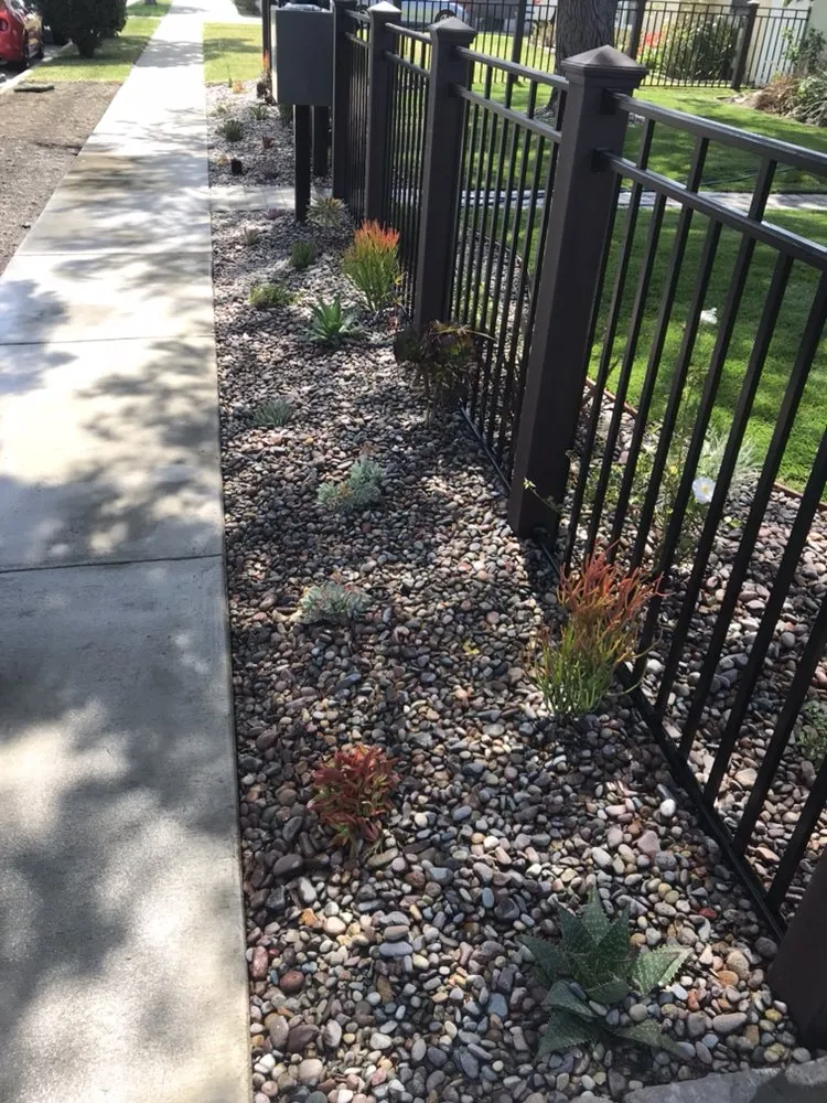 Top-rated lawn care service for homes in Long Beach, CA by Artlux Construction & Landscaping