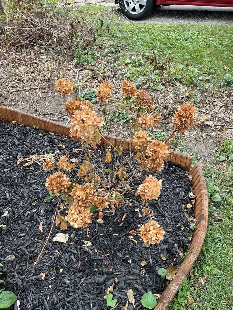 Expert yard maintenance in Westland, MI - Artman's Nursery & Landscape Supply