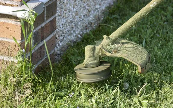 Professional landscaping services in San Antonio, TX by Arts $40 Lawn Mowing Service