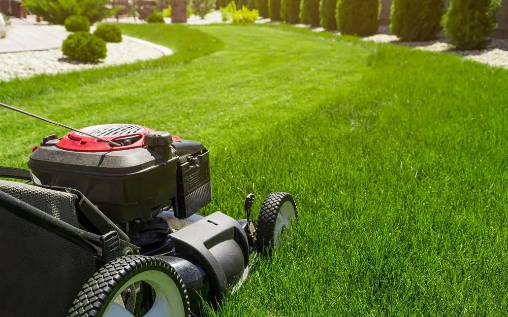 Affordable yard cleanup service for residential properties in San Antonio, TX by Arts $40 Lawn Mowing Service