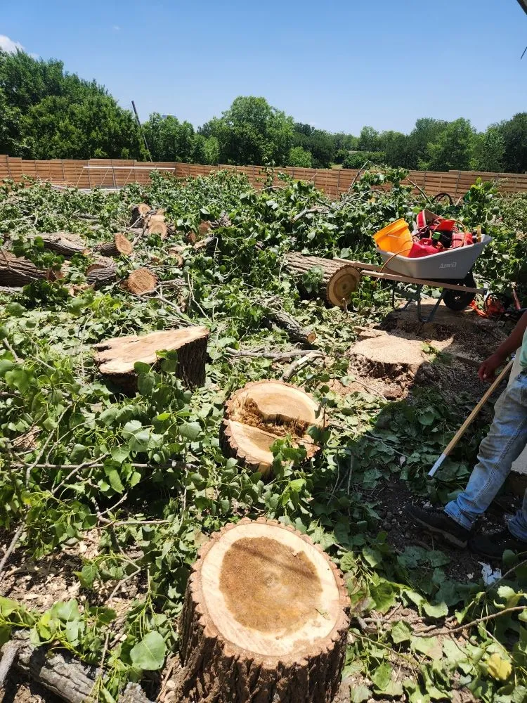 Local lawn care service in North Richland Hills, TX by Arts Construction SVCS