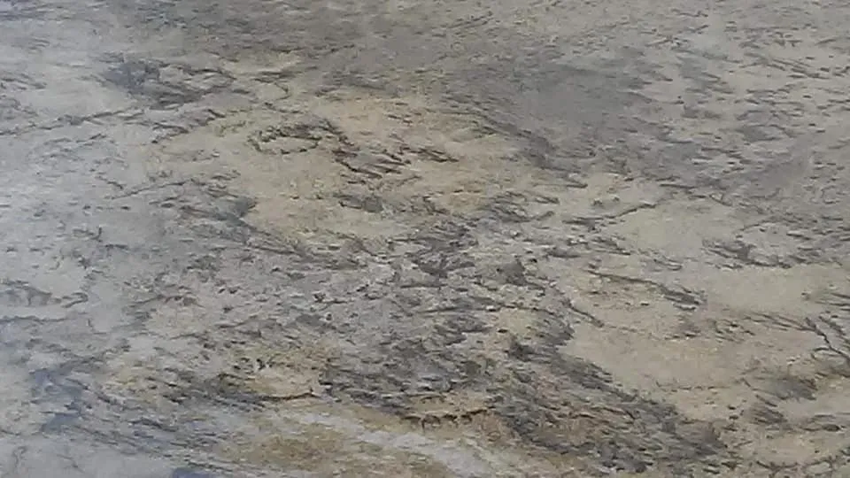 Professional landscaping services in Independence, MO by Art's Hauling and Handy Services