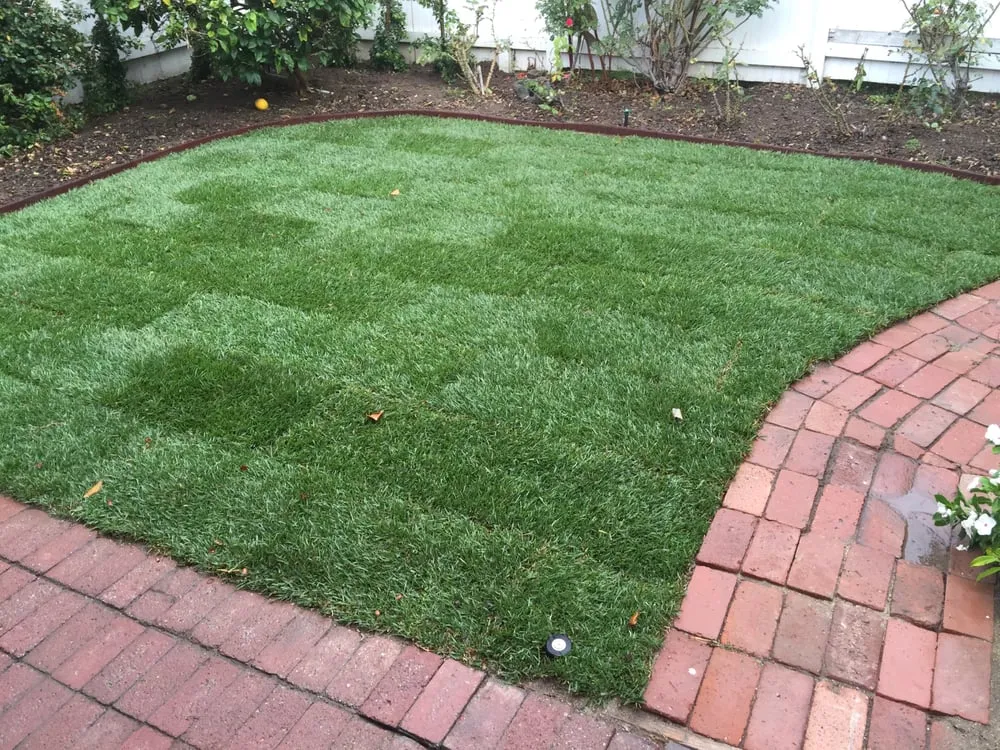 Trusted lawn care service in Irvine, CA by Art's Landscape & Maintenance