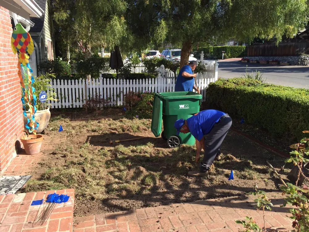 Top-rated yard cleanup service in Irvine, CA by Art's Landscape & Maintenance
