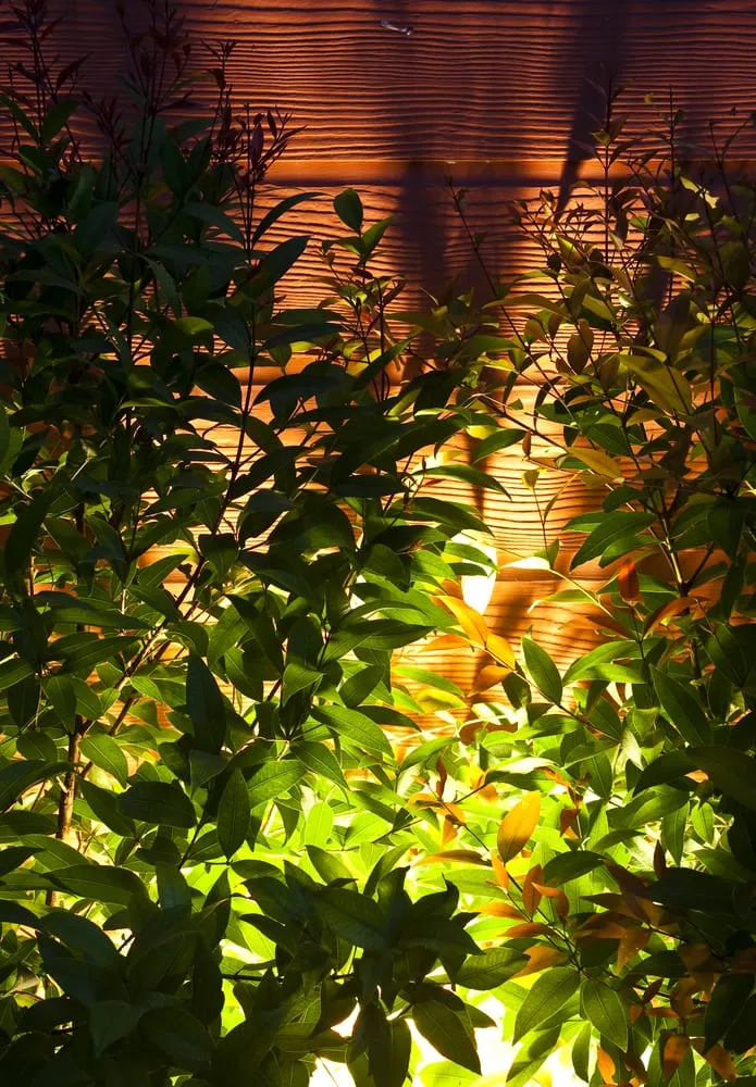 Custom landscaping services experts serving Irvine, CA - Art's Landscape & Maintenance