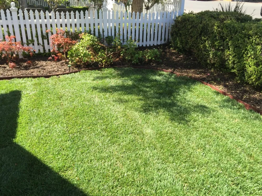 Local lawn care service experts serving Irvine, CA - Art's Landscape & Maintenance