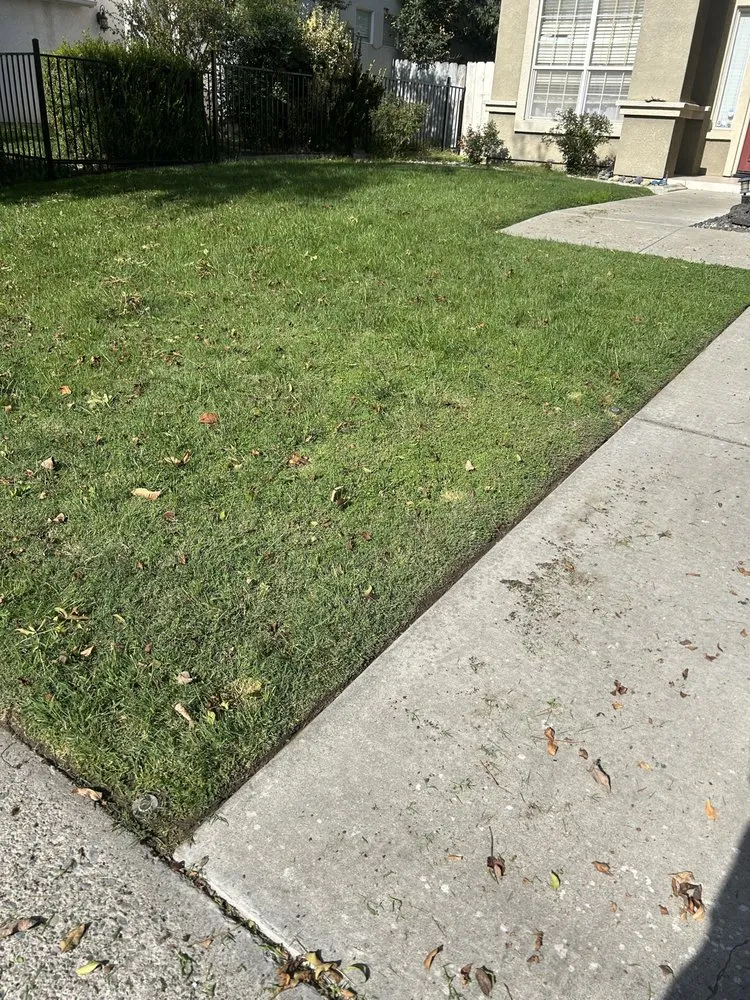 Reliable lawn mowing service in Modesto, CA - Art’s Landscaping