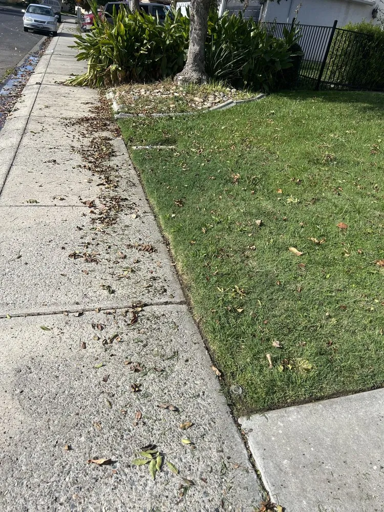 Custom garden landscaping experts serving Modesto, CA - Art’s Landscaping