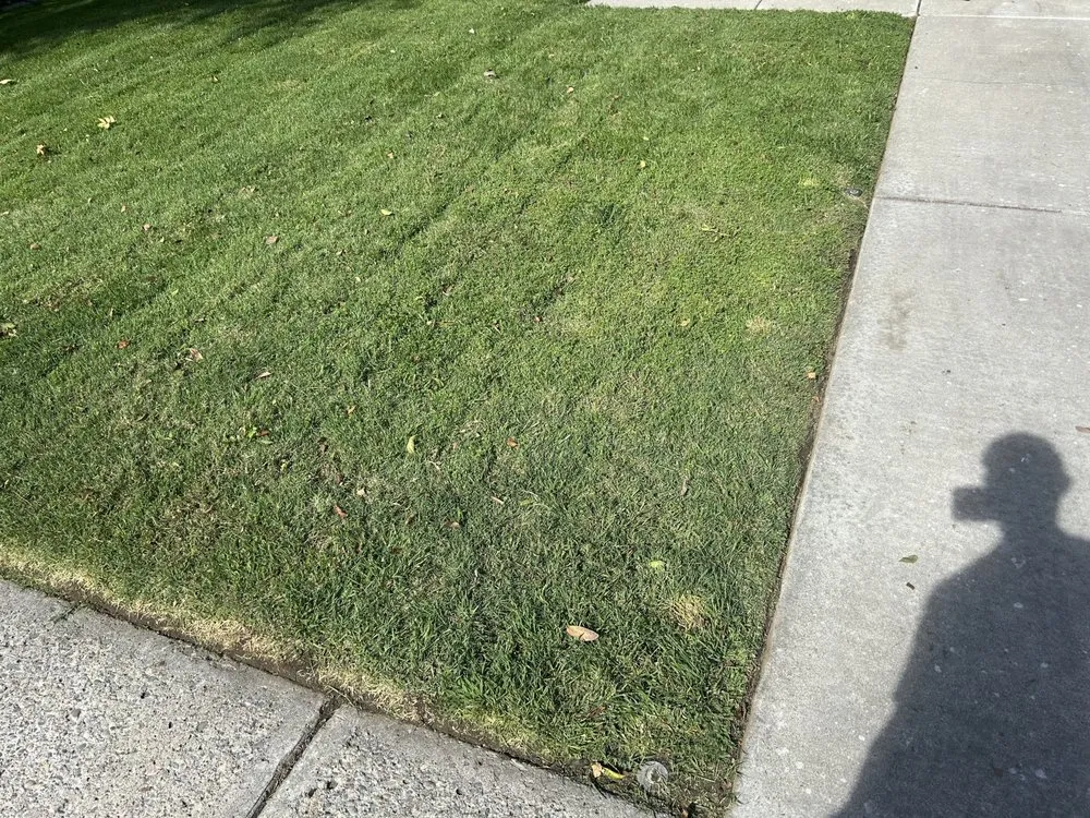 Trusted residential landscaping for homes in Modesto, CA by Art’s Landscaping