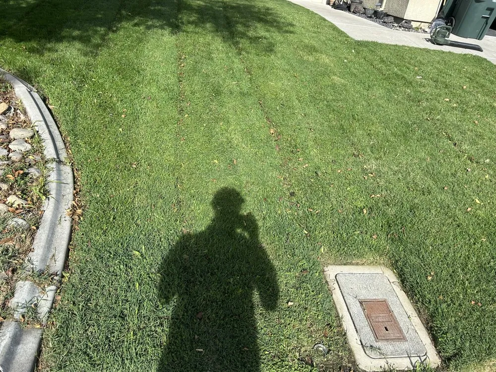 Professional yard maintenance for year-round maintenance across Modesto, CA - Art’s Landscaping