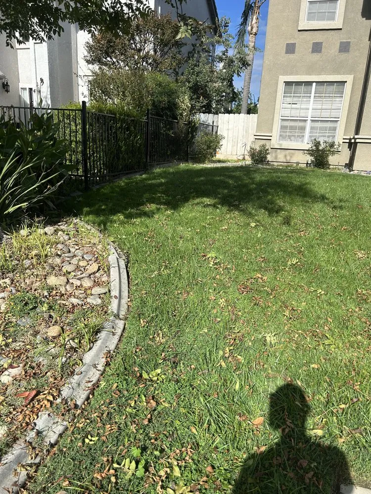 Custom outdoor landscaping in Modesto, CA - Art’s Landscaping