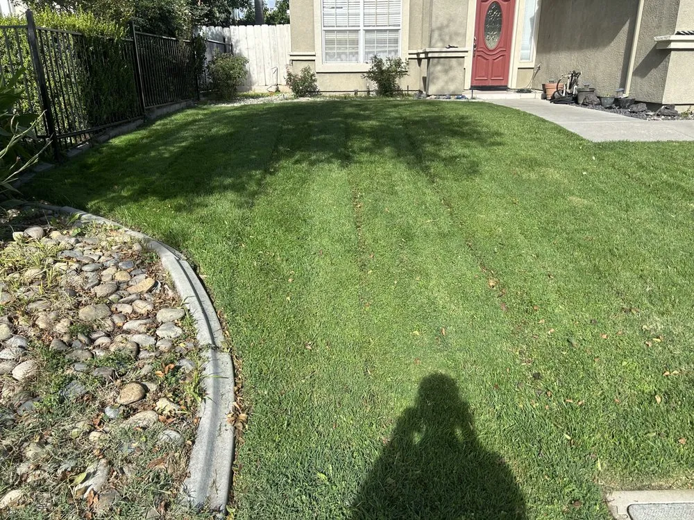 Trusted yard cleanup service for year-round maintenance in Modesto, CA by Art’s Landscaping