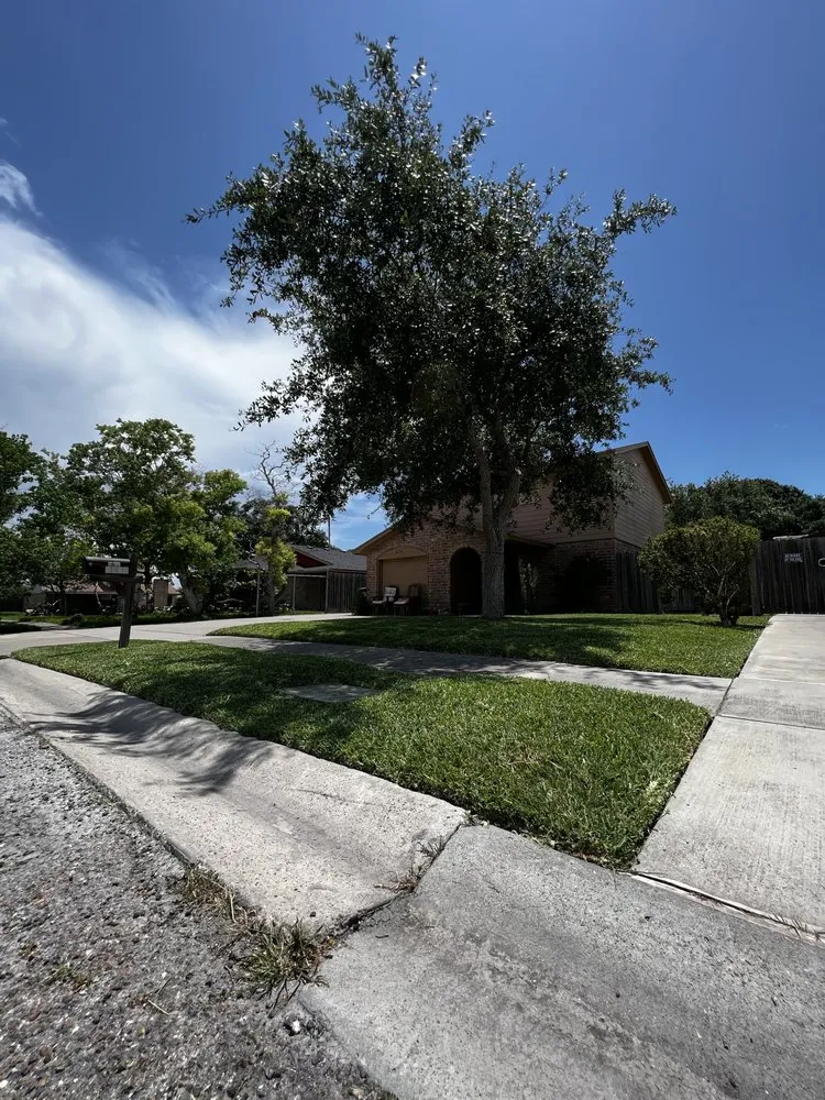 Expert yard maintenance in Corpus Christi, TX by Art’s Lawn Care