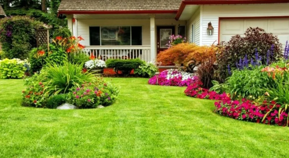 Affordable lawn mowing service for beautiful yards across Madisonville, KY - Arts Lawn Care