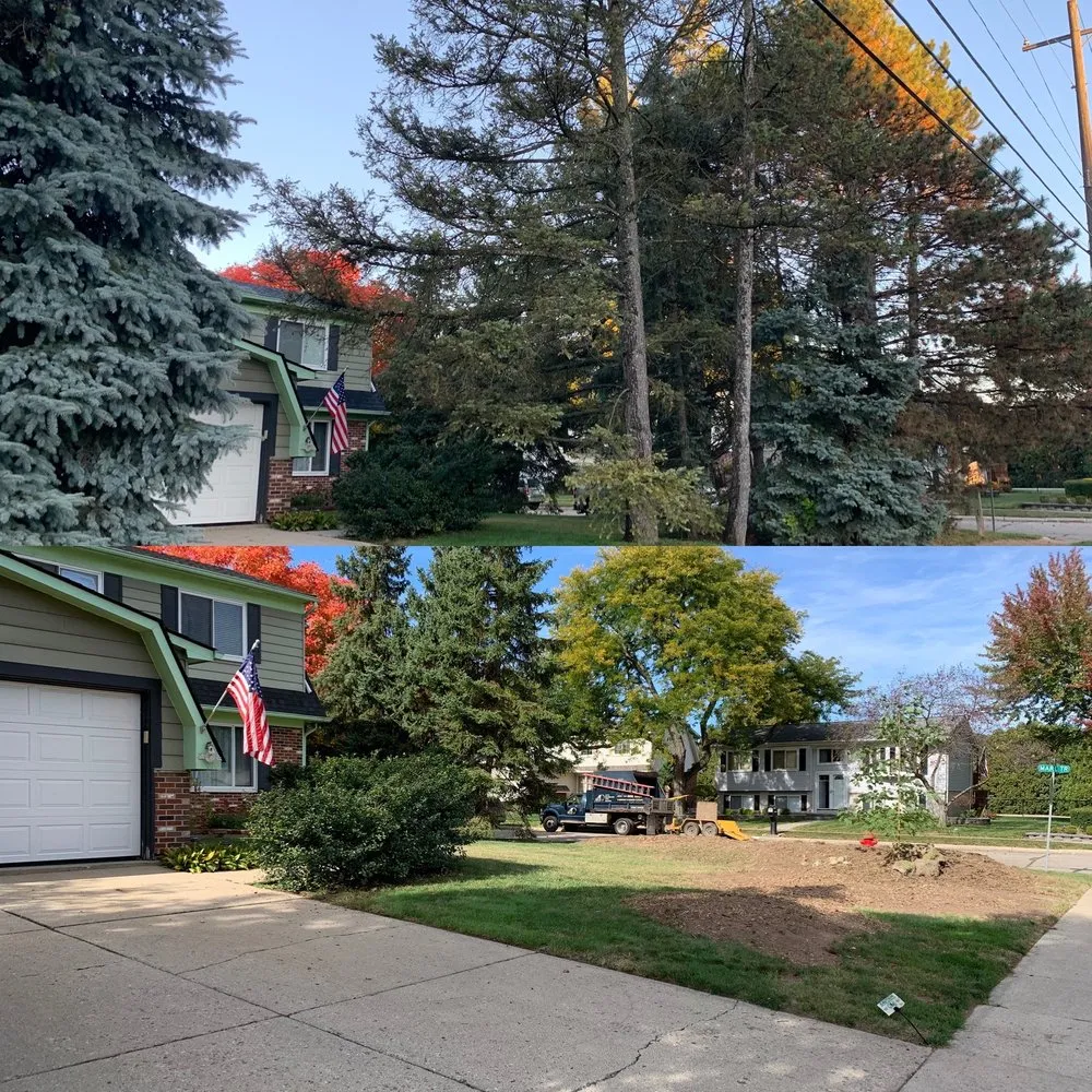 Professional outdoor landscaping in Canton, MI - Art's Residental Tree Service