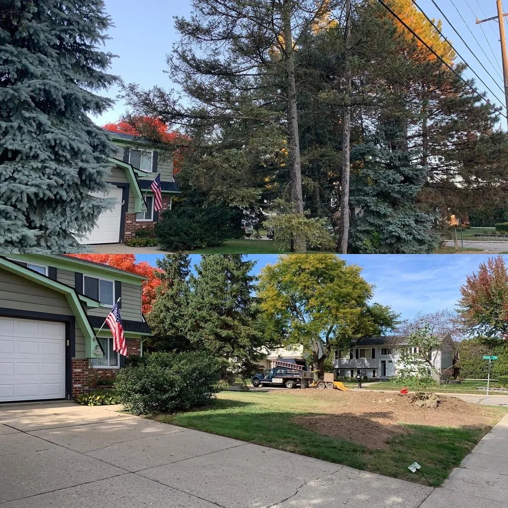Trusted yard maintenance in Canton, MI by Art's Residental Tree Service