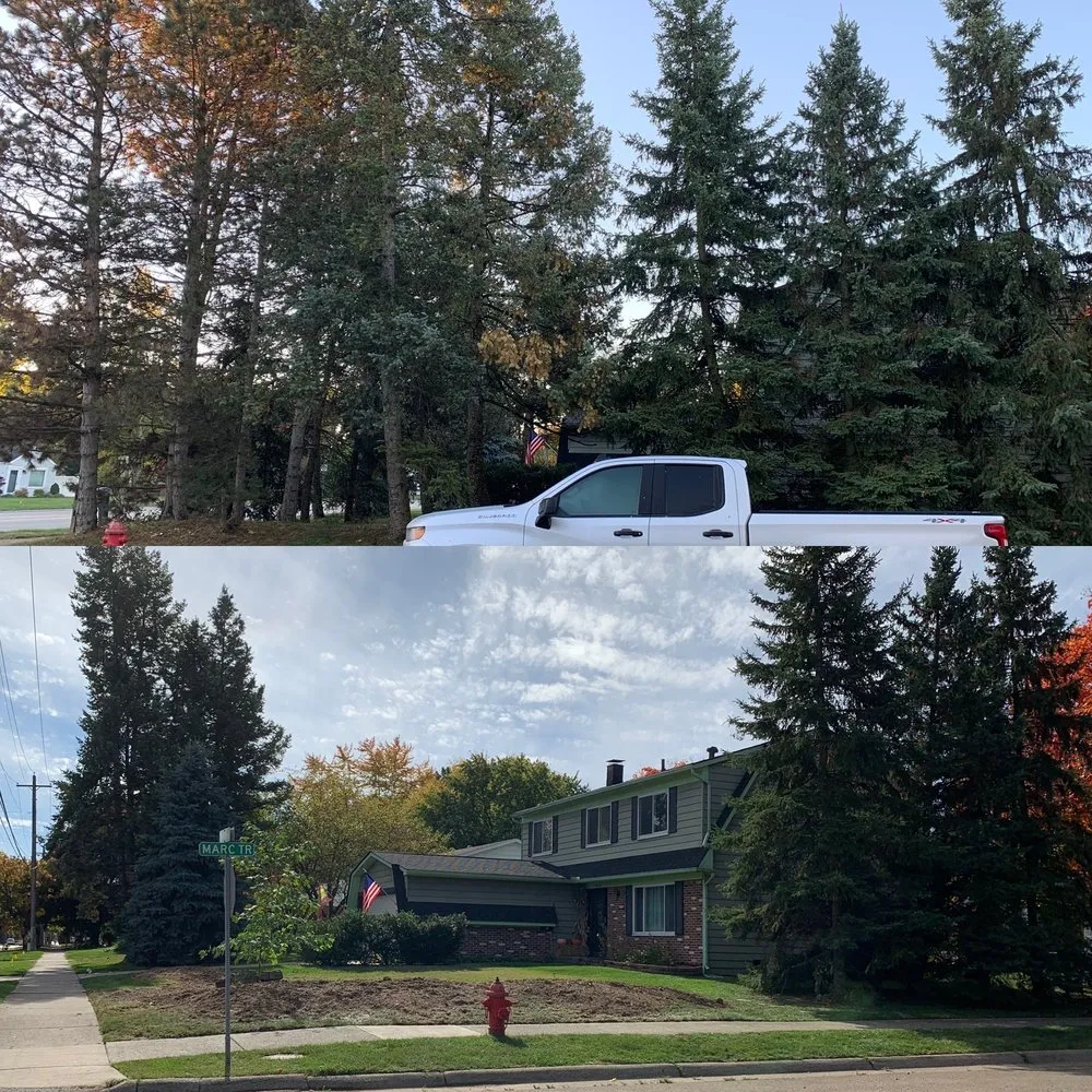 Reliable lawn care service with custom design in Canton, MI by Art's Residental Tree Service