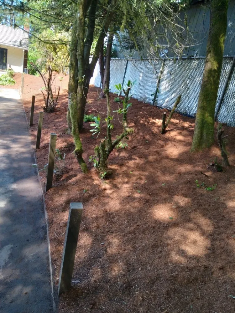 Reliable landscaping services for homes in North Bend, OR by Art's Tree Services