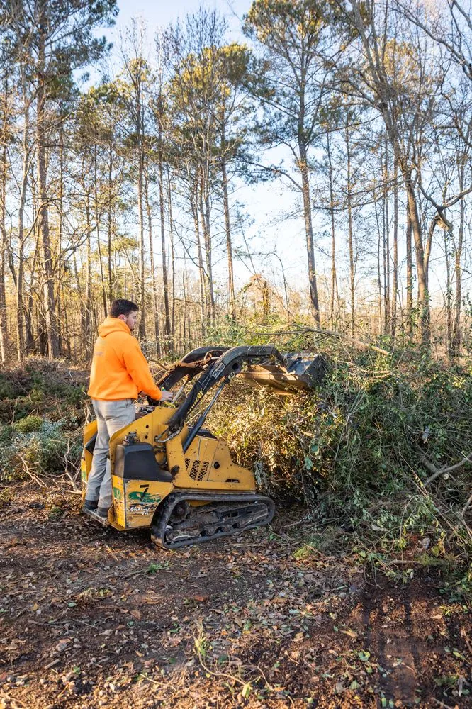 Top-rated yard maintenance for year-round maintenance across Conyers, GA - ArtScape Lawn and Turf Professionals