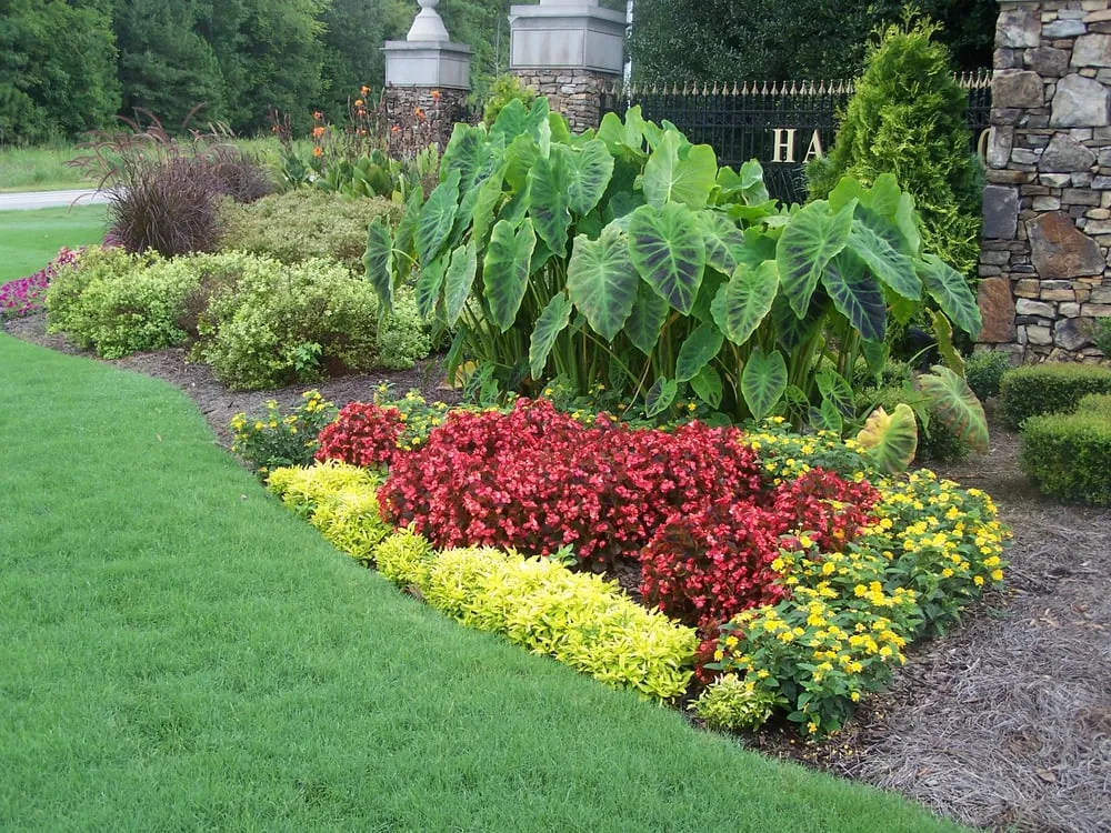 Custom yard cleanup service experts serving Conyers, GA - ArtScape Lawn and Turf Professionals