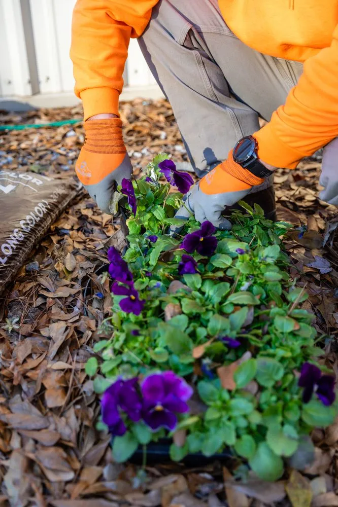 Professional lawn mowing service in Conyers, GA by ArtScape Lawn and Turf Professionals