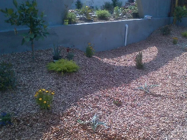 Custom outdoor landscaping for homes across Redwood City, CA - Artscapes