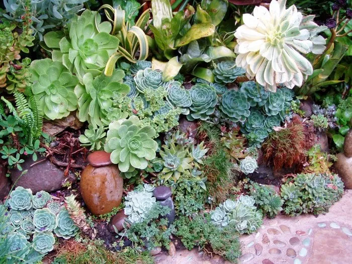 Custom residential landscaping for beautiful yards across Redwood City, CA - Artscapes