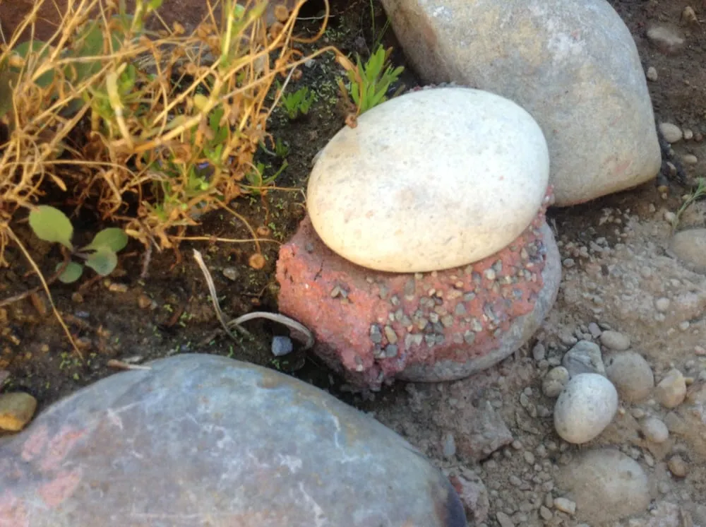 Affordable yard cleanup service in Redwood City, CA by Artscapes