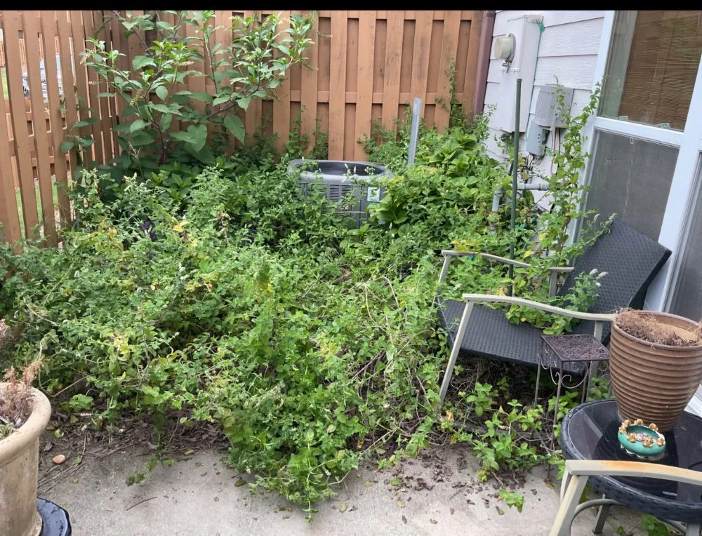 Reliable yard maintenance in Lawrenceville, GA by Artscaping Lawncare Service