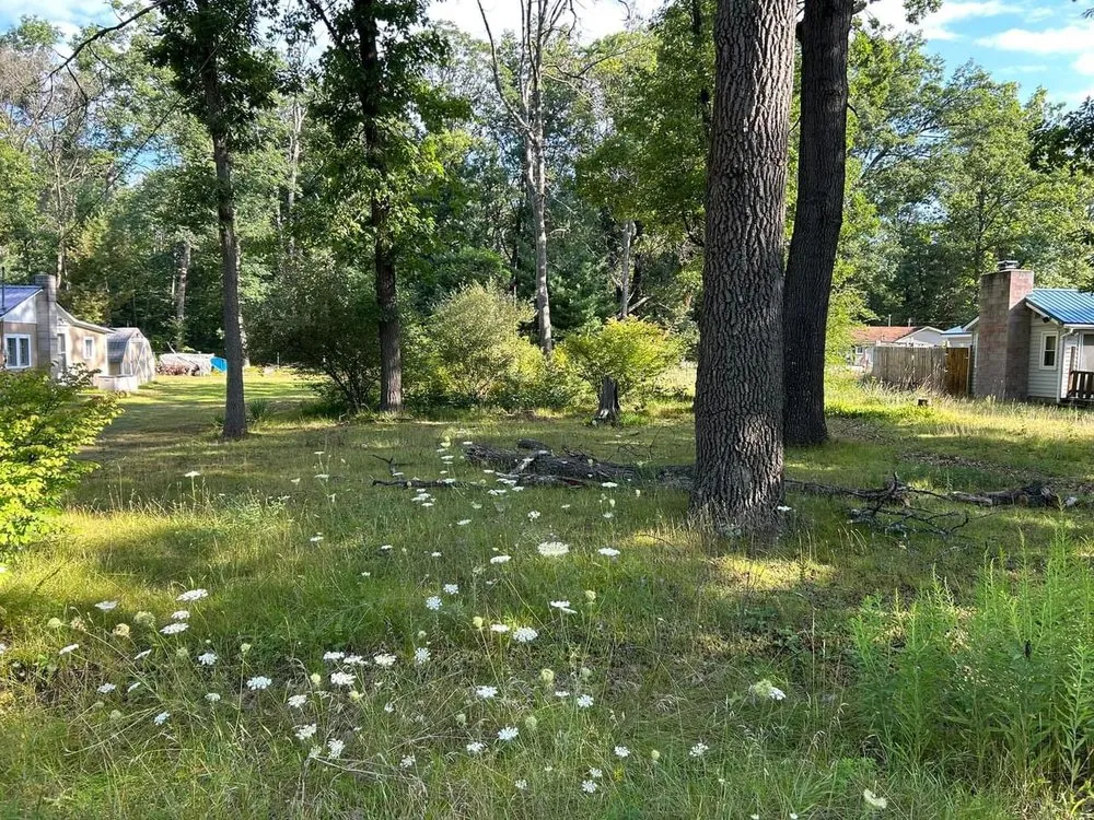 Trusted yard maintenance experts serving Harrison, MI - Artsy Landscaping